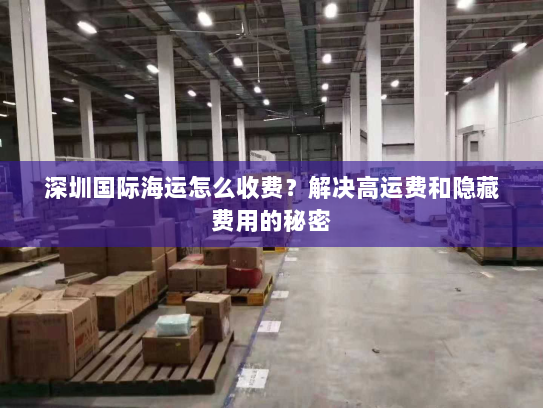 深圳国际海运怎么收费?解决高运费和隐藏费用的秘密 深圳国际海运怎么收费?解决高运费和隐藏费用的秘密