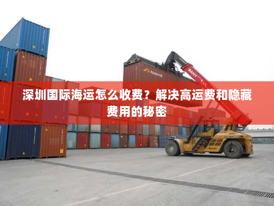 深圳国际海运怎么收费?解决高运费和隐藏费用的秘密 深圳国际海运怎么收费?解决高运费和隐藏费用的秘密