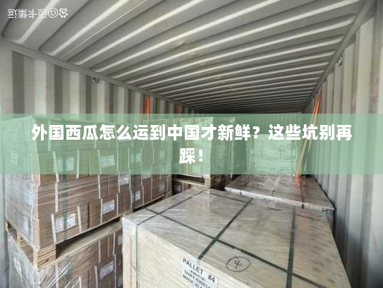 外国西瓜怎么运到中国才新鲜?这些坑别再踩! 外国西瓜怎么运到中国才新鲜?这些坑别再踩!