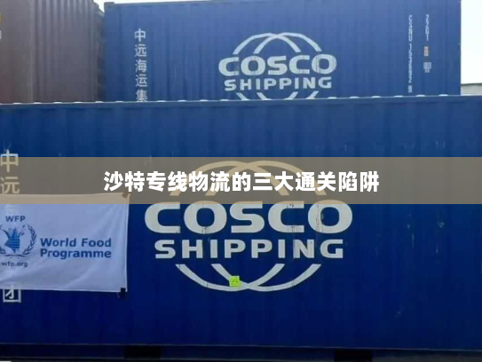 沙特专线物流的三大通关陷阱