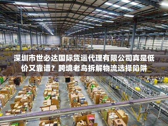 深圳市世必达国际货运代理有限公司真是低价又靠谱？跨境老鸟拆解物流选择陷阱