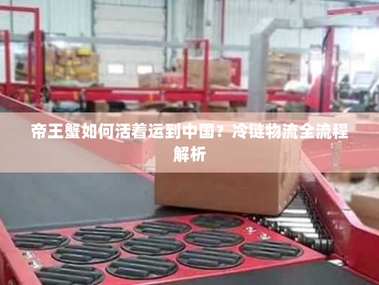 帝王蟹如何活着运到中国?冷链物流全流程解析 帝王蟹如何活着运到中国?冷链物流全流程解析