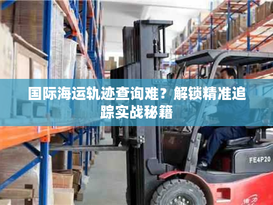 国际海运轨迹查询难?解锁精准追踪实战秘籍 国际海运轨迹查询难?解锁精准追踪实战秘籍