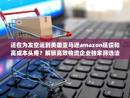 还在为发空运到美国亚马逊amazon延误和高成本头疼?解锁高效物流企业独家筛选法! 还在为发空运到美国亚马逊amazon延误和高成本头疼?解锁高效物流企业独家筛选法!