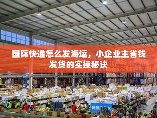 国际快递怎么发海运，小企业主省钱发货的实操秘诀