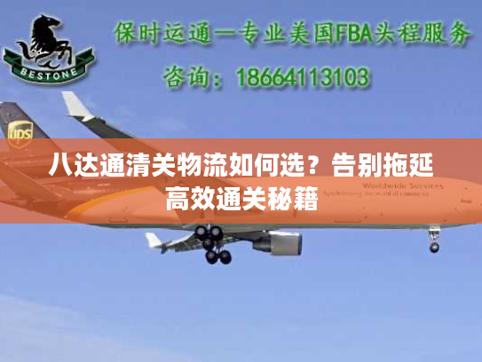 八达通清关物流如何选？告别拖延高效通关秘籍