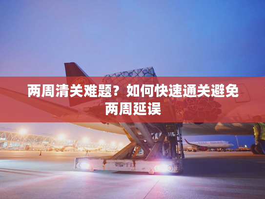 两周清关难题?如何快速通关避免两周延误 两周清关难题?如何快速通关避免两周延误