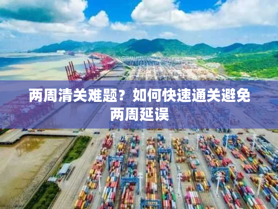 两周清关难题？如何快速通关避免两周延误