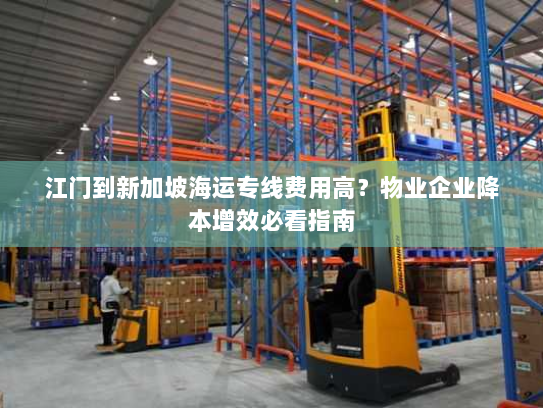 江门到新加坡海运专线费用高？物业企业降本增效必看指南