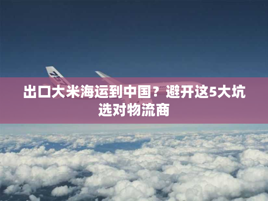 出口大米海运到中国？避开这5大坑选对物流商