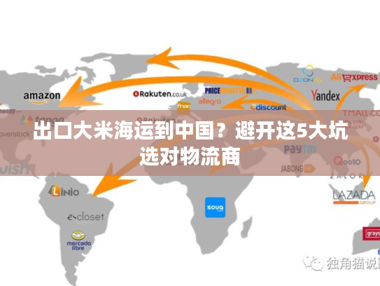 出口大米海运到中国？避开这5大坑选对物流商