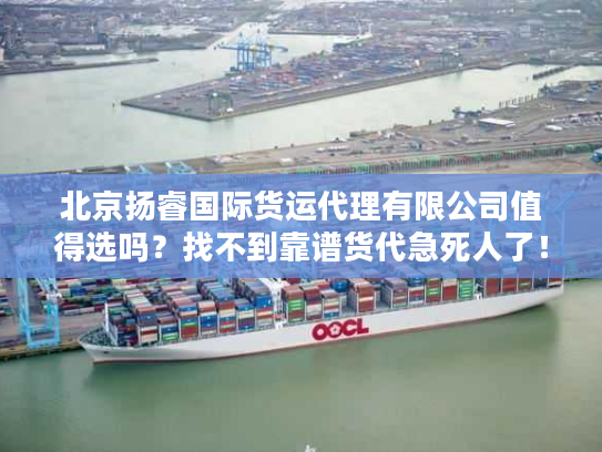 北京扬睿国际货运代理有限公司值得选吗？找不到靠谱货代急死人了！