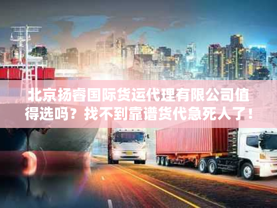 北京扬睿国际货运代理有限公司值得选吗？找不到靠谱货代急死人了！