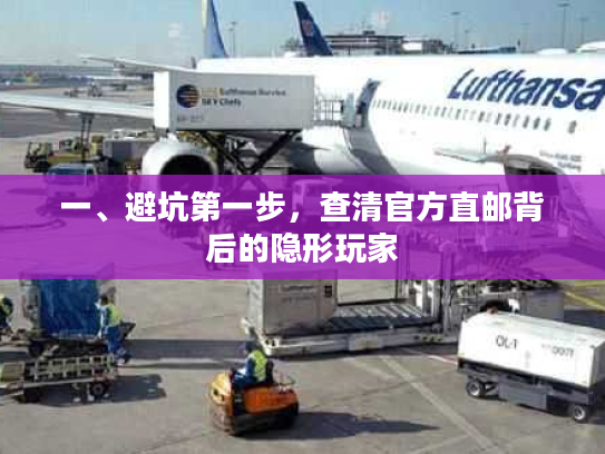 一、避坑第一步，查清官方直邮背后的隐形玩家
