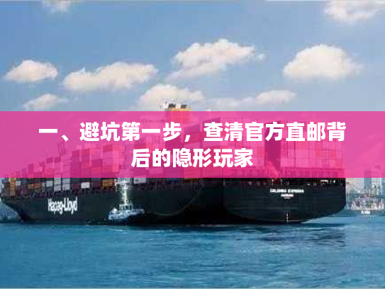 一、避坑第一步，查清官方直邮背后的隐形玩家