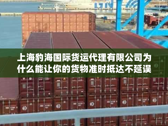 上海豹海国际货运代理有限公司为什么能让你的货物准时抵达不延误？