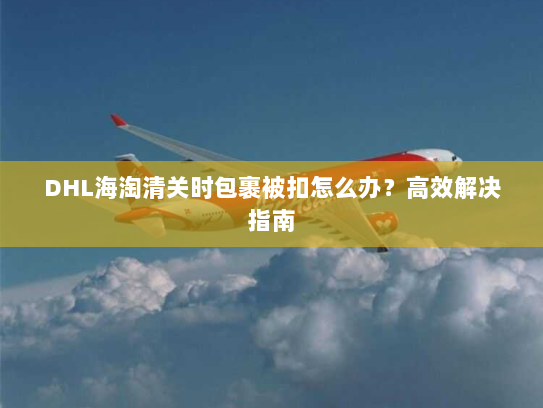 DHL海淘清关时包裹被扣怎么办？高效解决指南