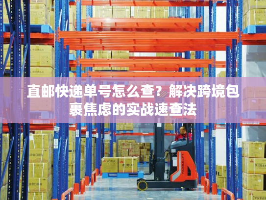 直邮快递单号怎么查？解决跨境包裹焦虑的实战速查法