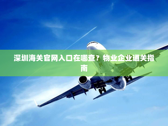 深圳海关官网入口在哪查?物业企业通关指南 深圳海关官网入口在哪查?物业企业通关指南