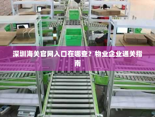 深圳海关官网入口在哪查?物业企业通关指南 深圳海关官网入口在哪查?物业企业通关指南