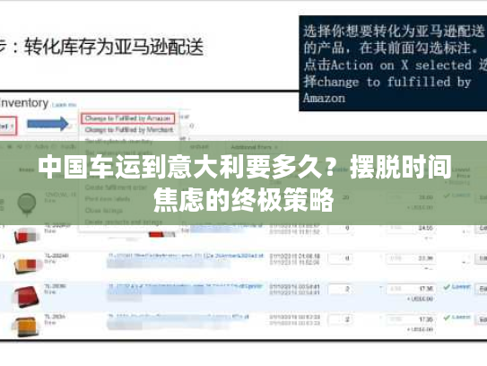 中国车运到意大利要多久?摆脱时间焦虑的终极策略 中国车运到意大利要多久?摆脱时间焦虑的终极策略