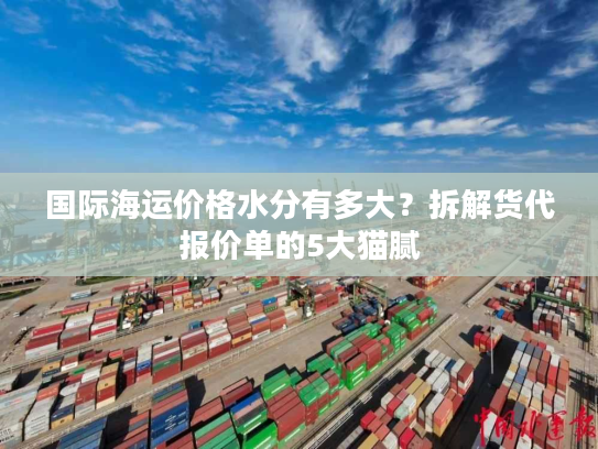 国际海运价格水分有多大？拆解货代报价单的5大猫腻