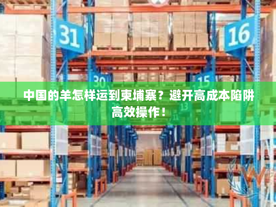 中国的羊怎样运到柬埔寨?避开高成本陷阱高效操作! 中国的羊怎样运到柬埔寨?避开高成本陷阱高效操作!