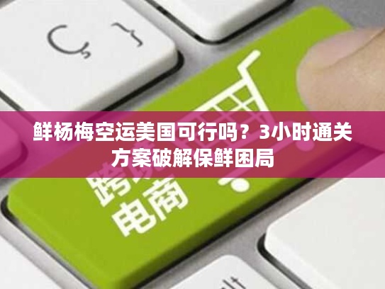 鲜杨梅空运美国可行吗？3小时通关方案破解保鲜困局