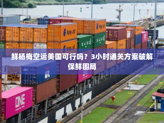 鲜杨梅空运美国可行吗?3小时通关方案破解保鲜困局 鲜杨梅空运美国可行吗?3小时通关方案破解保鲜困局