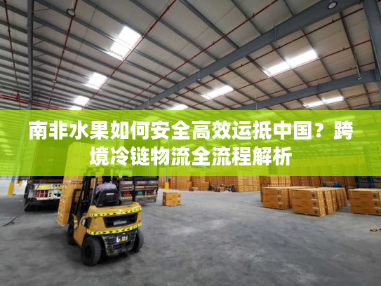 南非水果如何安全高效运抵中国？跨境冷链物流全流程解析