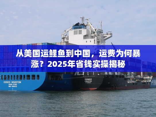 从美国运鲤鱼到中国，运费为何暴涨？2025年省钱实操揭秘