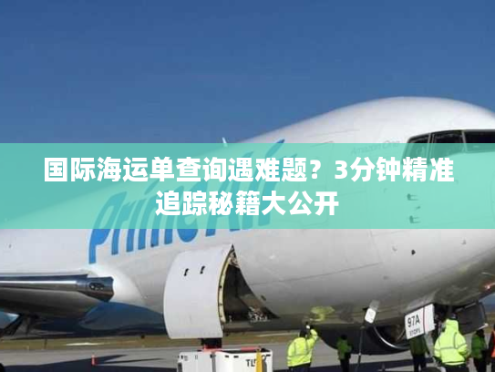 国际海运单查询遇难题?3分钟精准追踪秘籍大公开 国际海运单查询遇难题?3分钟精准追踪秘籍大公开