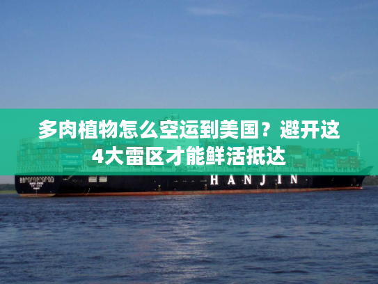 多肉植物怎么空运到美国？避开这4大雷区才能鲜活抵达