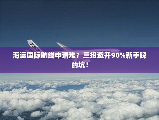 海运国际航线申请难?三招避开90%新手踩的坑! 海运国际航线申请难?三招避开90%新手踩的坑!