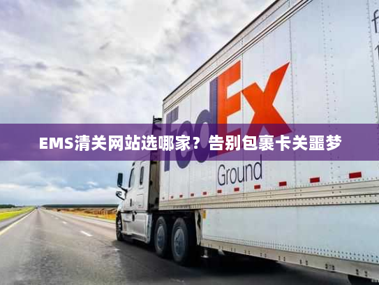 EMS清关网站选哪家？告别包裹卡关噩梦