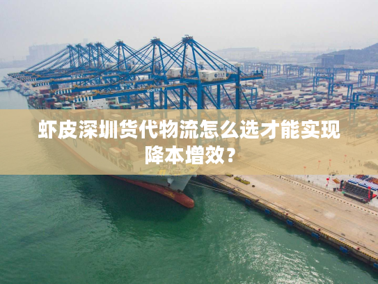 虾皮深圳货代物流怎么选才能实现降本增效? 虾皮深圳货代物流怎么选才能实现降本增效?