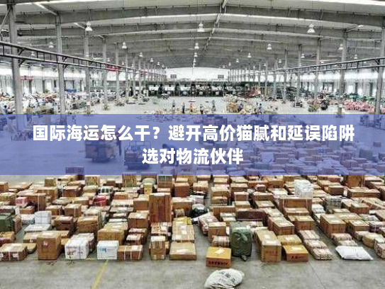 国际海运怎么干？避开高价猫腻和延误陷阱选对物流伙伴
