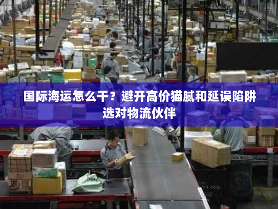国际海运怎么干？避开高价猫腻和延误陷阱选对物流伙伴