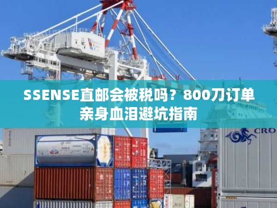 SSENSE直邮会被税吗？800刀订单亲身血泪避坑指南