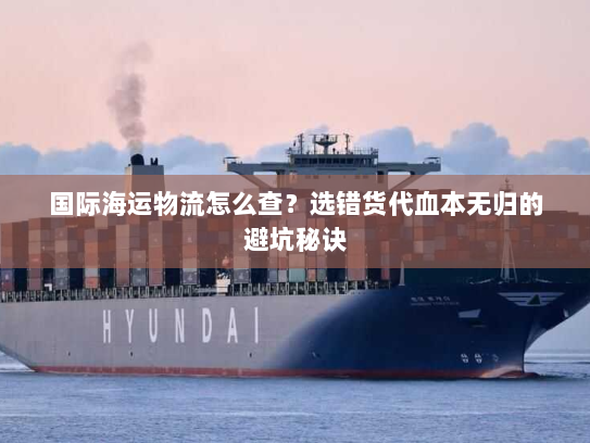 国际海运物流怎么查?选错货代血本无归的避坑秘诀 国际海运物流怎么查?选错货代血本无归的避坑秘诀