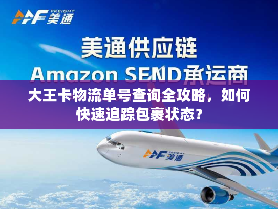 大王卡物流单号查询全攻略，如何快速追踪包裹状态？