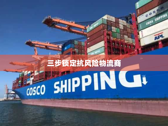 三步锁定抗风险物流商