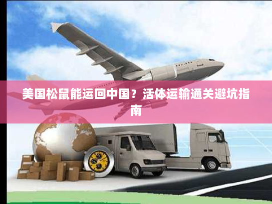 美国松鼠能运回中国?活体运输通关避坑指南 美国松鼠能运回中国?活体运输通关避坑指南