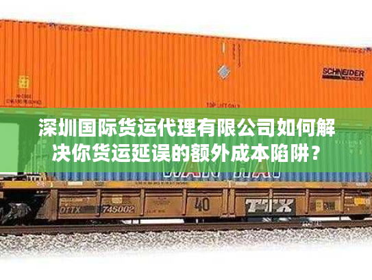 深圳国际货运代理有限公司如何解决你货运延误的额外成本陷阱？