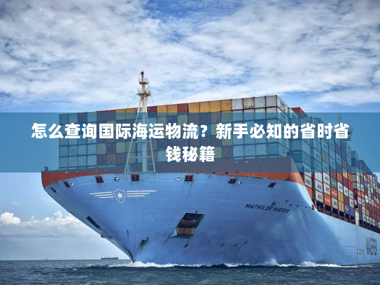 怎么查询国际海运物流？新手必知的省时省钱秘籍