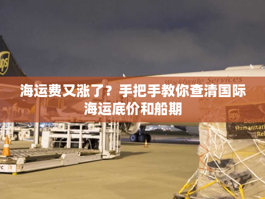海运费又涨了？手把手教你查清国际海运底价和船期