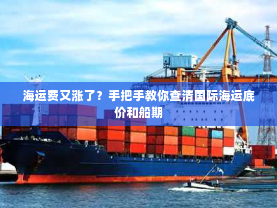 海运费又涨了?手把手教你查清国际海运底价和船期 海运费又涨了?手把手教你查清国际海运底价和船期