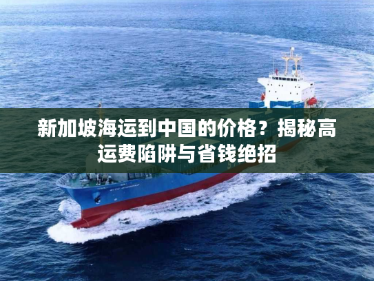 新加坡海运到中国的价格？揭秘高运费陷阱与省钱绝招