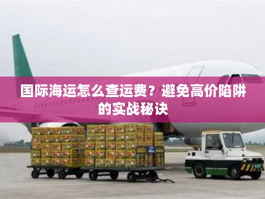 国际海运怎么查运费？避免高价陷阱的实战秘诀