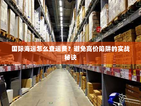 国际海运怎么查运费？避免高价陷阱的实战秘诀